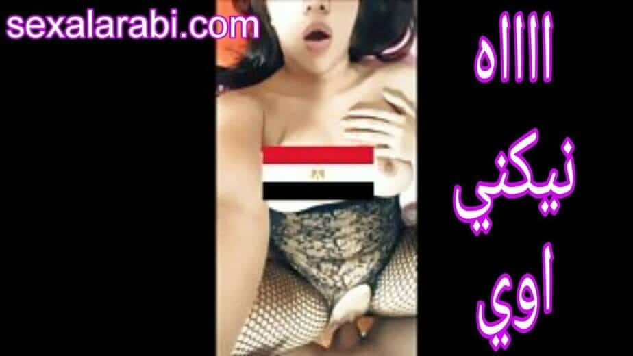 نيكني أكتر! البنت وصلت للجنون – سكس مصري ناري